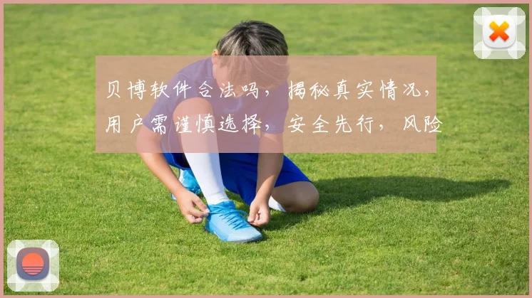 贝博软件合法吗，揭秘真实情况，用户需谨慎选择，安全先行，风险自担。