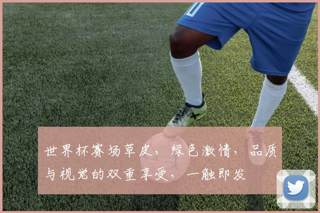 世界杯赛场草皮，绿色激情，品质与视觉的双重享受，一触即发