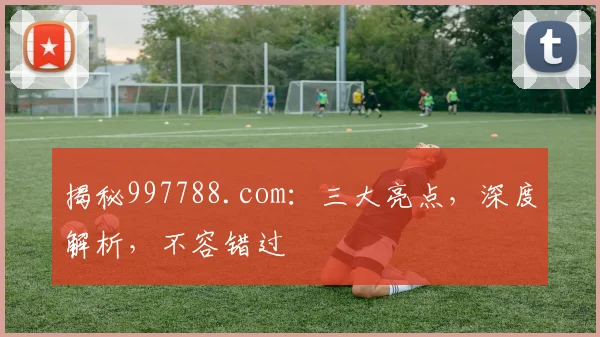揭秘997788.com：三大亮点，深度解析，不容错过