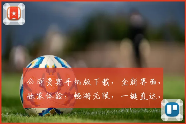 公海贵宾手机版下载，全新界面，独家体验，畅游无限，一键直达，快来下载