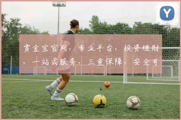 赏金宝官网，专业平台，投资理财，一站式服务，三重保障，安全可靠，轻松赚钱