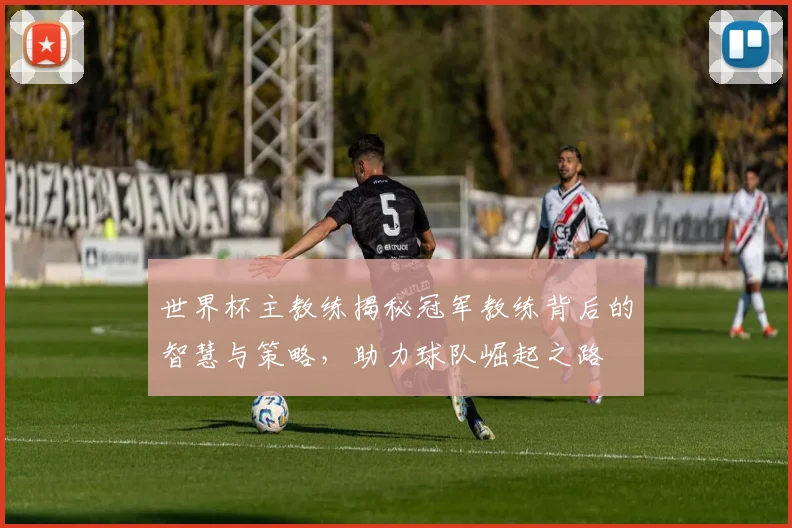 世界杯主教练揭秘冠军教练背后的智慧与策略，助力球队崛起之路