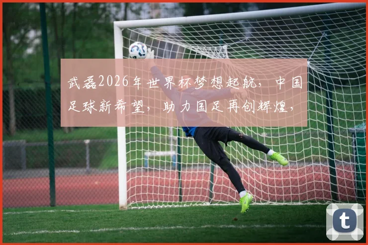 武磊2026年世界杯梦想起航，中国足球新希望，助力国足再创辉煌，一球成名